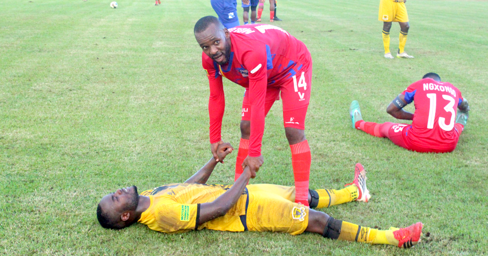 Weeping Leopards will now have to face the axe