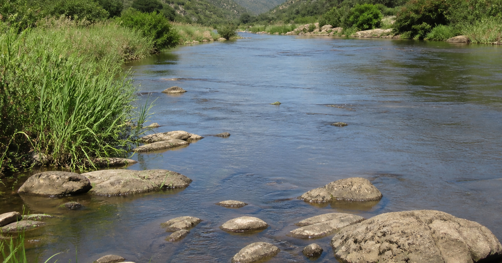 Man drowns after night fishing trip at Xingwedzi River