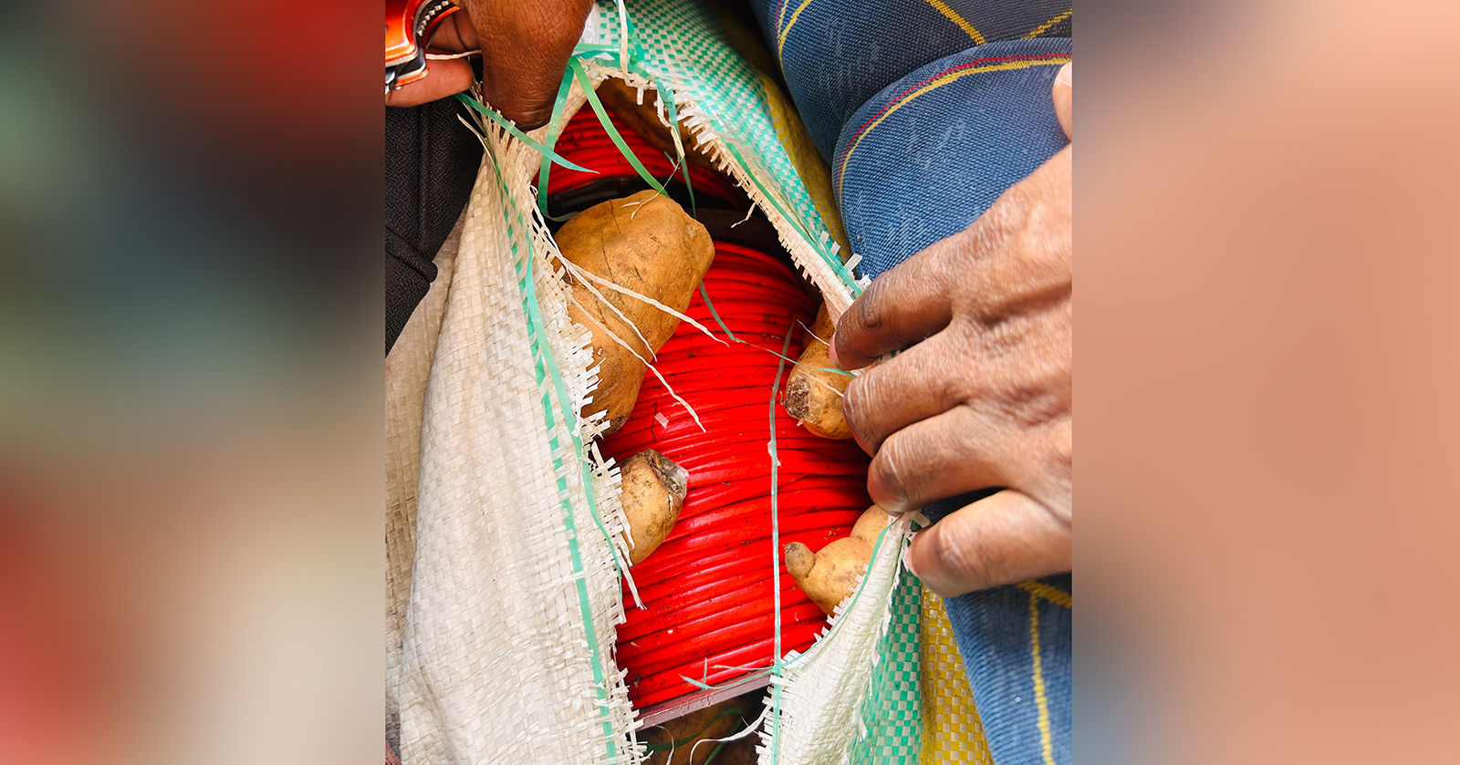 Explosive cord seized in bag at Beitbridge border