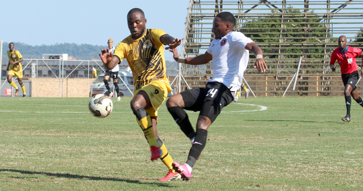 Time is running out for Leopards, but coaches are still dreaming