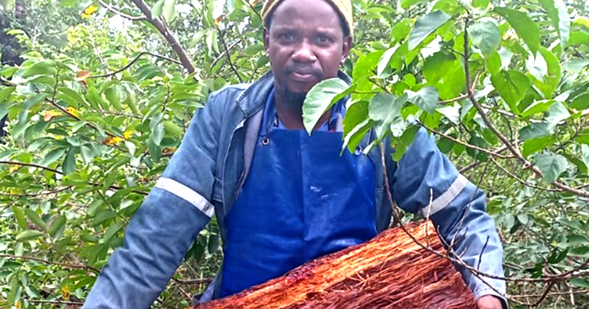 Tshaulu artisan transforms scrap into furniture and décor