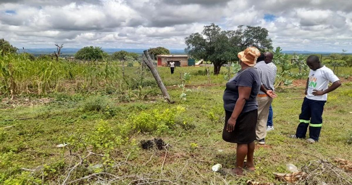 Residents of Sigonde in panic after elephant attack