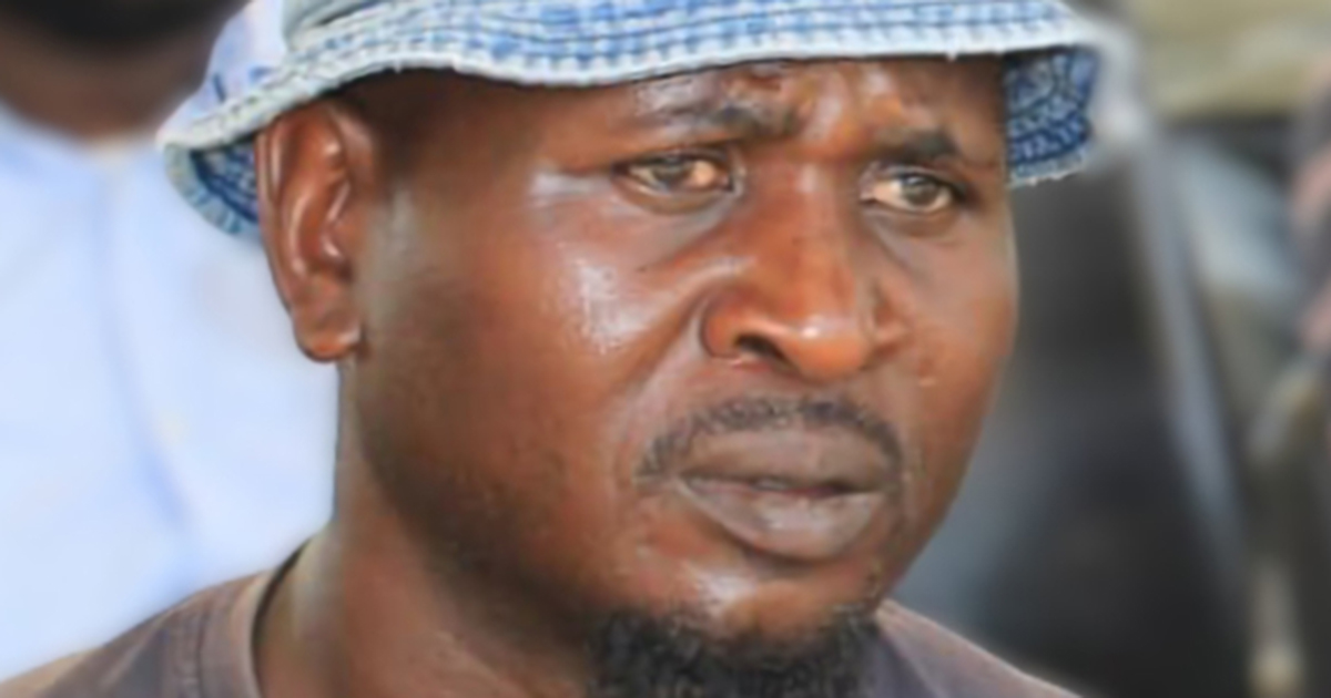 Political activist killed in hit-and-run