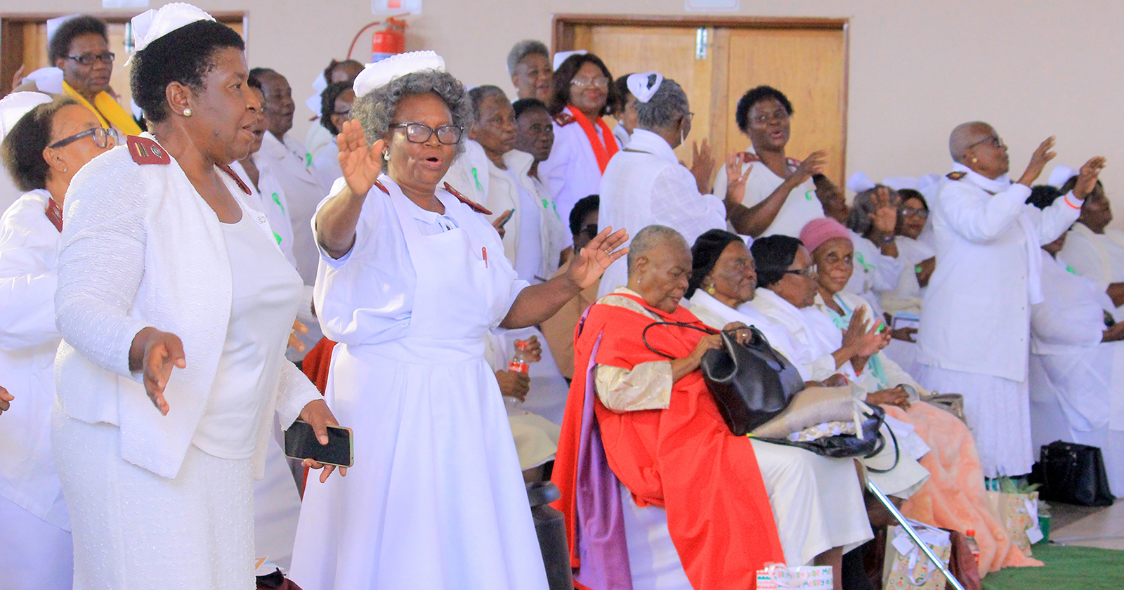 Retired nurses sound alarm over declining standards