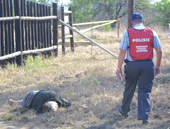 Killers on the loose - Floodgates on farm attacks open