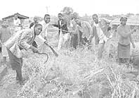 Celebrating Youth Day by cleaning graves