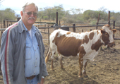 Local cattle farmer boasts top Nguni cow