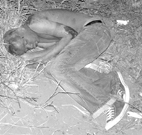 Midnight trip ends in great pain for youths