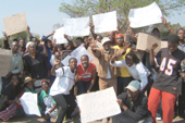 Musicians up in arms over piracy