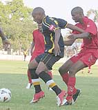 More red lights flicker for Black Leopards