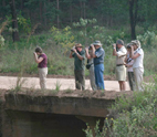 A celebration of biodiversity