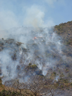 Horror blaze claims two
