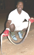 Huge snake terrorizes villagers