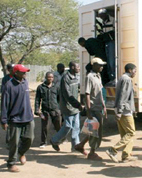 The ongoing problem of illegal immigrants from Zimbabwe