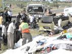 Terror crash claims 11