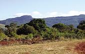 Development in Green Belt continues