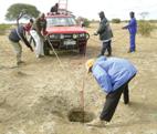 Boy dumps dogs down 15m well