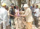 Rural communities benefit from donkey workshop