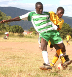 All Stars hold Omega to a dull draw