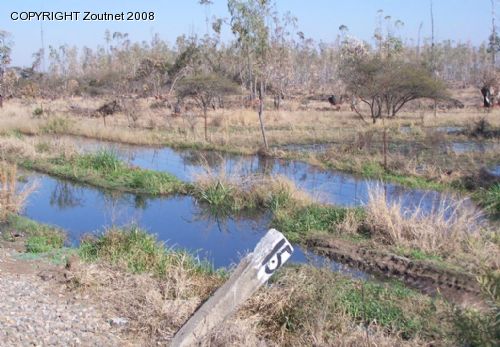 Resident’s sewage woes continue