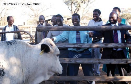 MEC Magadzi receives heifer from NERPO