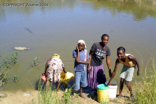 Residents forced to share water resources with animals
