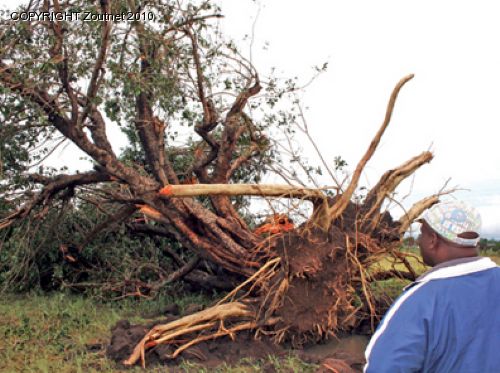 Devastation as storms hit Malamulele villages