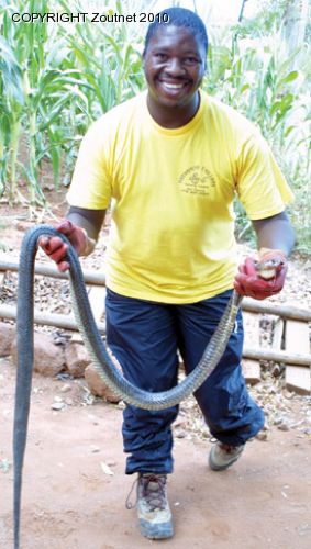 Disabled Chilliboy captures mysterious cobra