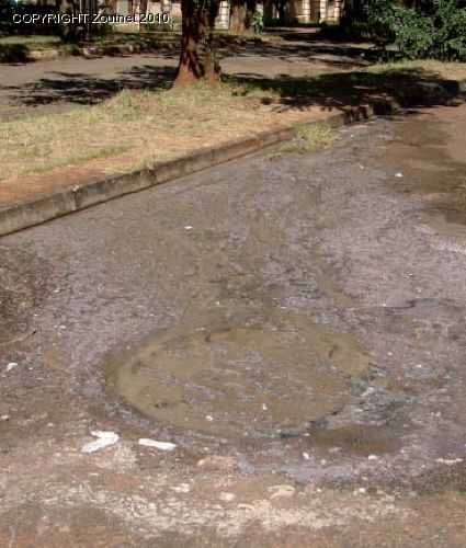 Report paints bleak municipal sewerage picture