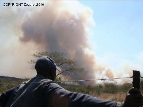 Department urge people to report fires