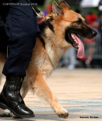 Zim police intensify manhunt for prison escapees