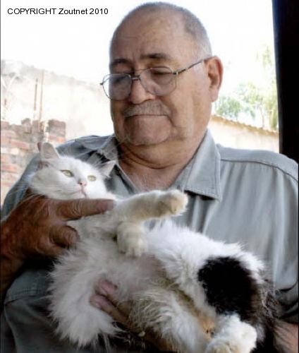 An act of senseless animal cruelty