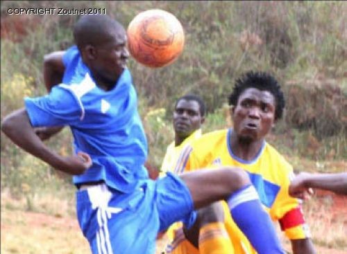 Convincing victory for Hungry Lions