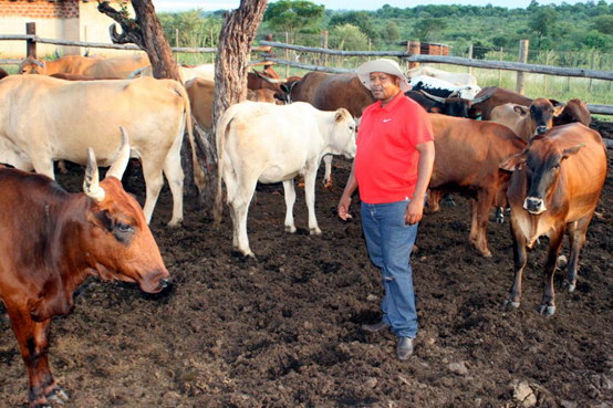 Stock thefts scare the hell out of emerging farmer