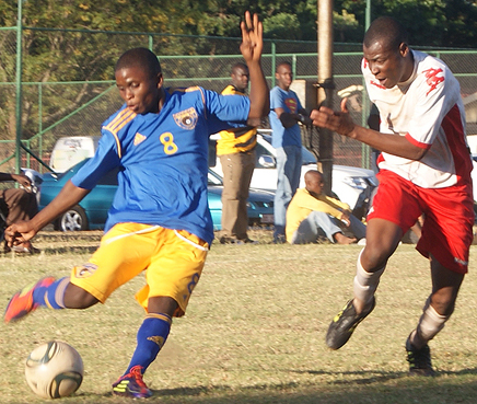 Phungo All Stars hold log leaders in draw