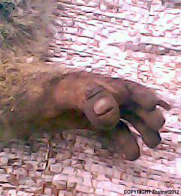 "It is a tokoloshe"