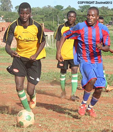 Dolphins and Santos in draw