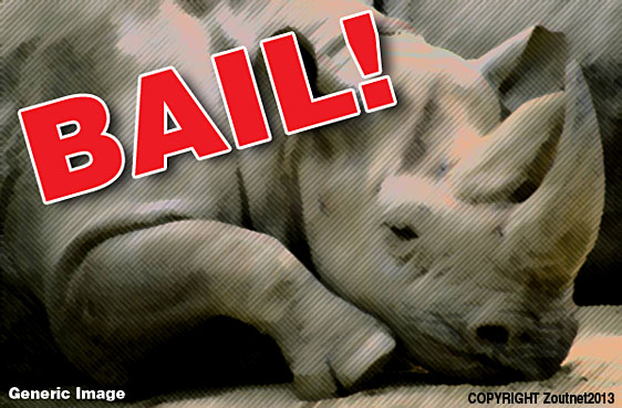 Bail for four suspected rhino poachers