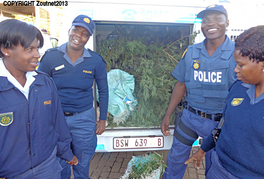 Rastaman arrested for dagga