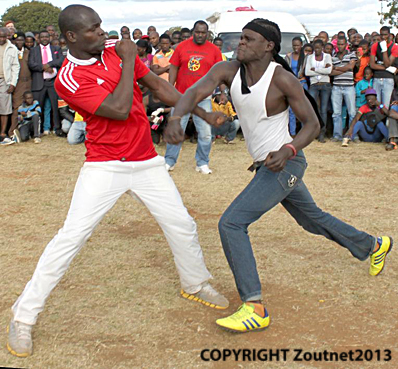 Ngwazi the Musangwe Champ of Makhado