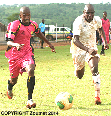 Leopards refuse to surrender