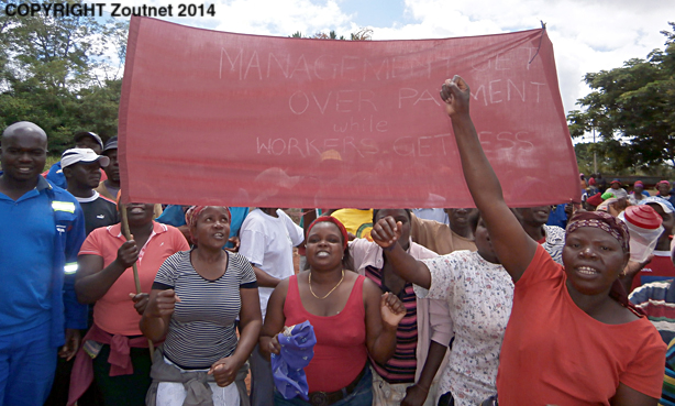 Masakona farm workers demand better working conditions