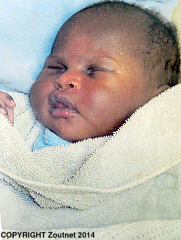 Infant found in bushes near Tshikota