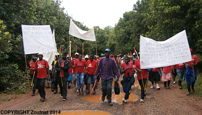 Masakona farm workers continue with their strike
