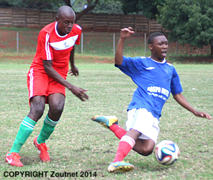 Bornwise destroys Rospa