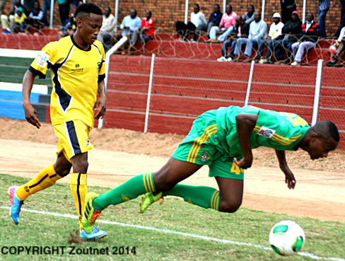 Excellent start for Leopards