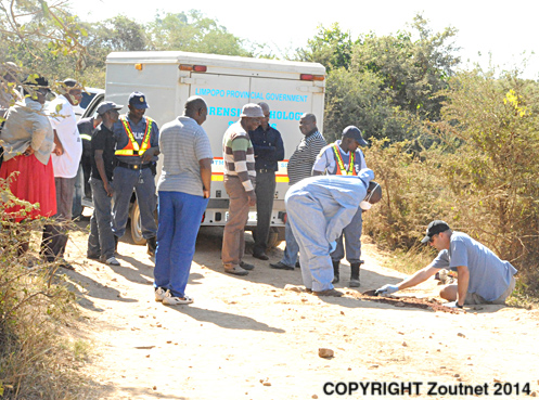 Two unknown people found shot dead at Mashamba
