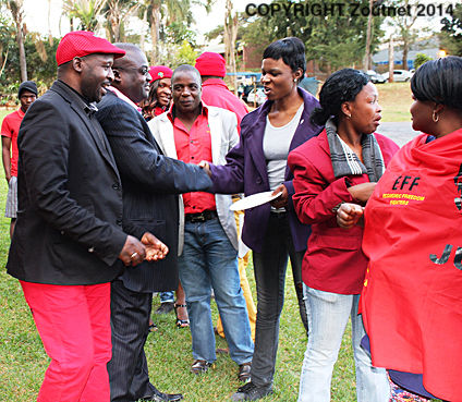 EFF aims for clean sweep in  the 2016 local elections