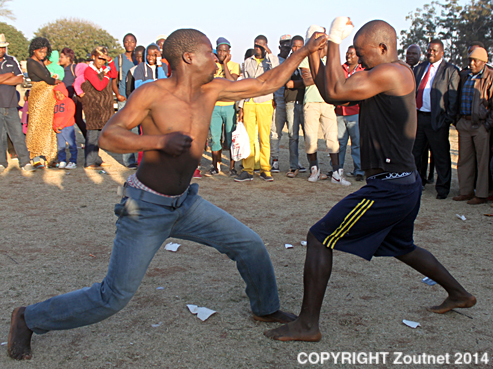 Huge interest in show’s musangwe fights