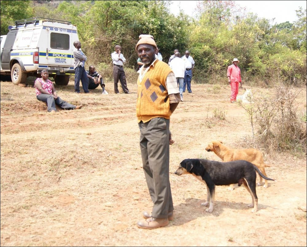 Dog feeds on human flesh